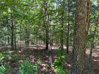 Mayes County Oklahoma Land For Sale - image 1