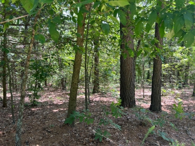 Mayes County Oklahoma Land For Sale - image 3