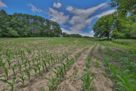 Rural Real Estate for Sale in Dane County, Wisconsin - image 19