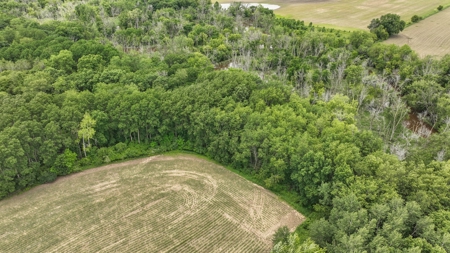 Rural Real Estate for Sale in Dane County, Wisconsin - image 11