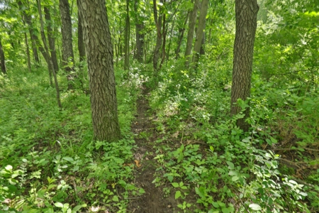 Rural Real Estate for Sale in Dane County, Wisconsin - image 22
