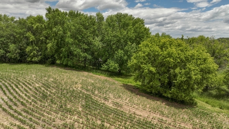 Rural Real Estate for Sale in Dane County, Wisconsin - image 31