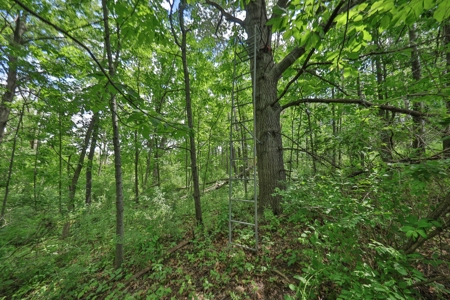 Rural Real Estate for Sale in Dane County, Wisconsin - image 21