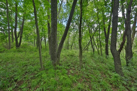 Rural Real Estate for Sale in Dane County, Wisconsin - image 27
