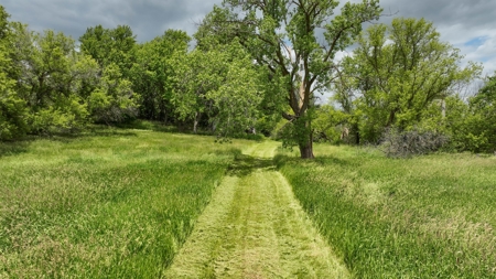 Rural Real Estate for Sale in Dane County, Wisconsin - image 2