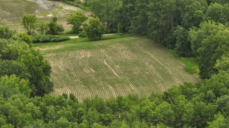 Rural Real Estate for Sale in Dane County, Wisconsin - image 16