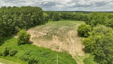 Rural Real Estate for Sale in Dane County, Wisconsin - image 7