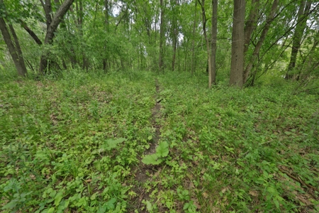 Rural Real Estate for Sale in Dane County, Wisconsin - image 29