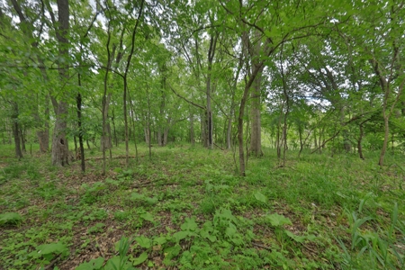 Rural Real Estate for Sale in Dane County, Wisconsin - image 25