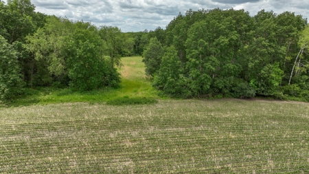 Rural Real Estate for Sale in Dane County, Wisconsin - image 33