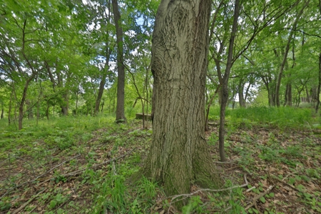 Rural Real Estate for Sale in Dane County, Wisconsin - image 26
