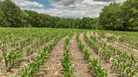 Rural Real Estate for Sale in Dane County, Wisconsin - image 35