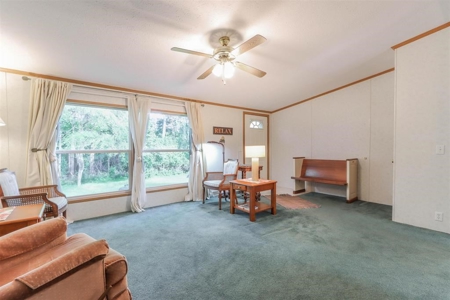 Crystal River Property For Sale in Waupaca, WI - image 29