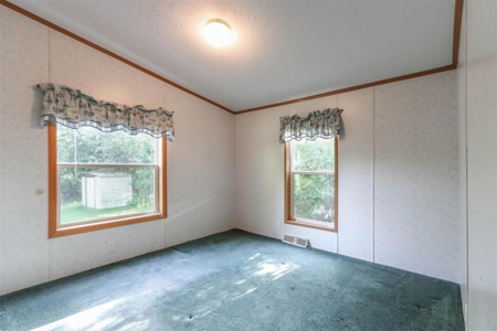 Crystal River Property For Sale in Waupaca, WI - image 17