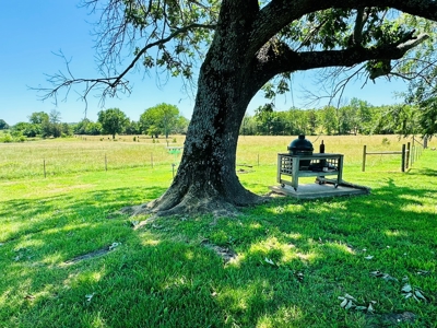 Farm And Land For Sale In Arkansas - image 24