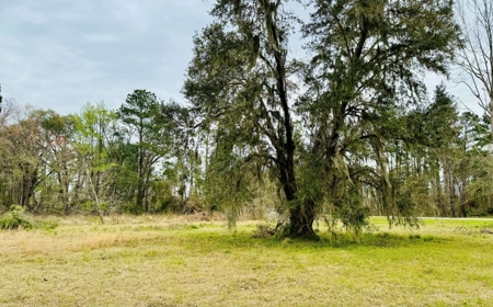 Vintage Home For Sale In Jasper, Fl - image 34