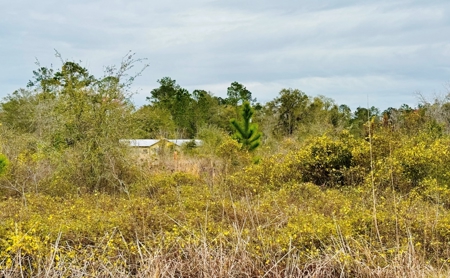 Vintage Home For Sale In Jasper, Fl - image 37