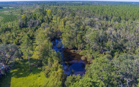 Vintage Home For Sale In Jasper, Fl - image 43