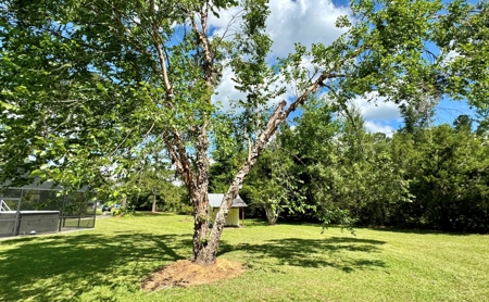 Country Home With Lake Access For Sale In Jennings, Fl - image 39