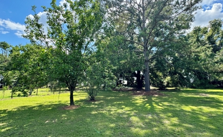 Country Home With Lake Access For Sale In Jennings, Fl - image 38