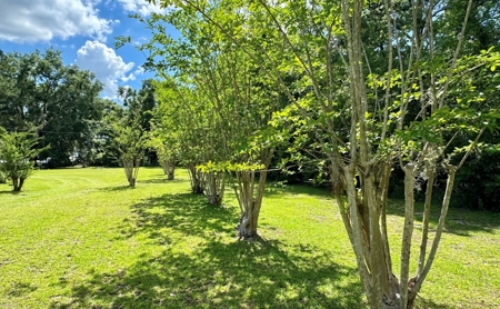 Country Home With Lake Access For Sale In Jennings, Fl - image 32