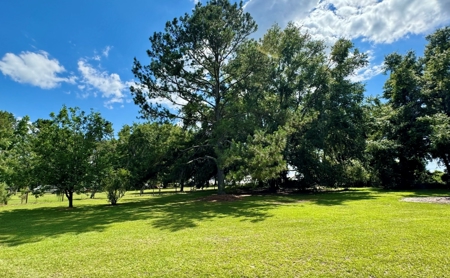 Country Home With Lake Access For Sale In Jennings, Fl - image 37
