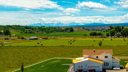 Montrose Country Home with Irrigated Land - image 42