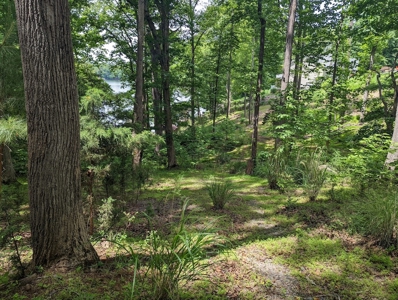Lot for Sale on Smith Mountain Lake - image 10