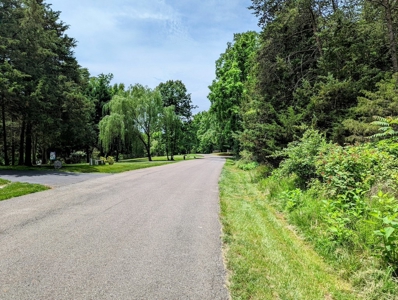 Lot for Sale on Smith Mountain Lake - image 2