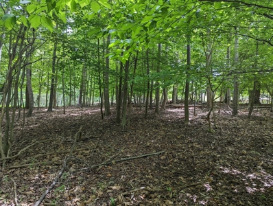 Lot for Sale on Smith Mountain Lake - image 11