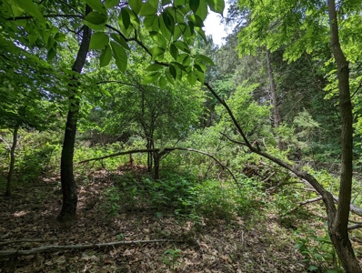 Lot for Sale on Smith Mountain Lake - image 4
