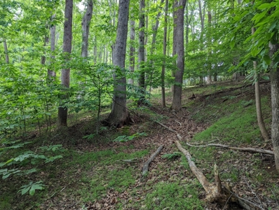 Lot for Sale on Smith Mountain Lake - image 7