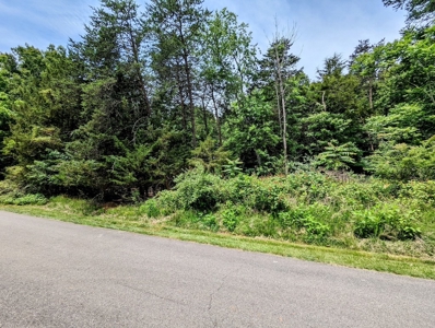 Lot for Sale on Smith Mountain Lake - image 3