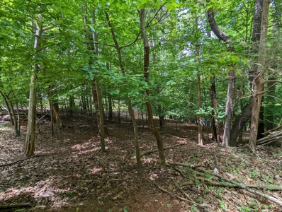 Lot for Sale on Smith Mountain Lake - image 5