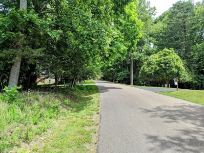 Lot for Sale on Smith Mountain Lake - image 1