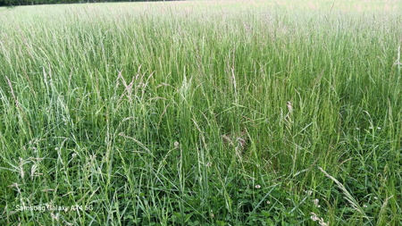 Cattle Ranching & Recreation on this Expansive 428-Acre Ranch - image 29