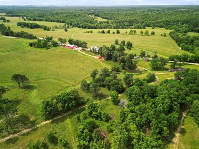 Beautiful Ranch with Live Water in Howell County Missouri - image 14