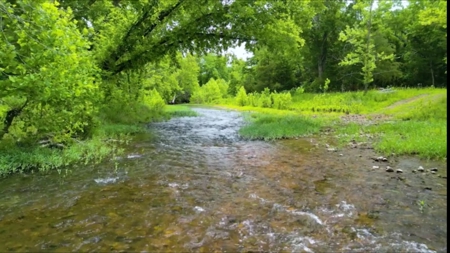 Cattle Ranching & Recreation on this Expansive 428-Acre Ranch - image 33