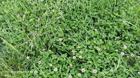 Cattle Ranching & Recreation on this Expansive 428-Acre Ranch - image 30