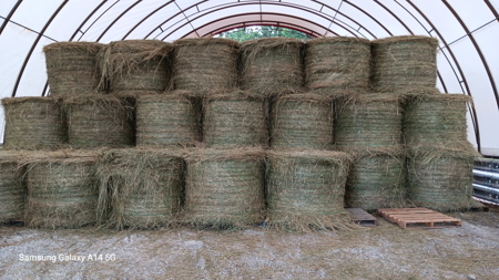 Cattle Ranching & Recreation on this Expansive 428-Acre Ranch - image 27