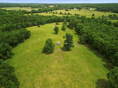 Beautiful Ranch with Live Water in Howell County Missouri - image 15