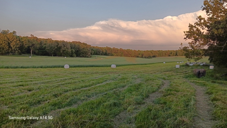 Cattle Ranching & Recreation on this Expansive 428-Acre Ranch - image 26