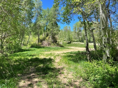 Nevada High Mountain Residential Trees Creek Land For Sale - image 9