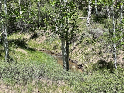 Nevada High Mountain Residential Trees Creek Land For Sale - image 3