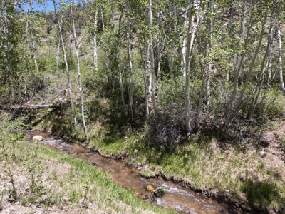Nevada High Mountain Residential Trees Creek Land For Sale - image 2