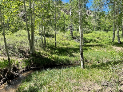 Nevada High Mountain Residential Trees Creek Land For Sale - image 4