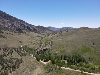 Nevada High Mountain Residential Trees Creek Land For Sale - image 1