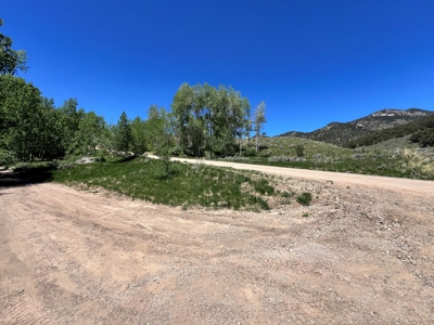 Nevada High Mountain Residential Trees Creek Land For Sale - image 8