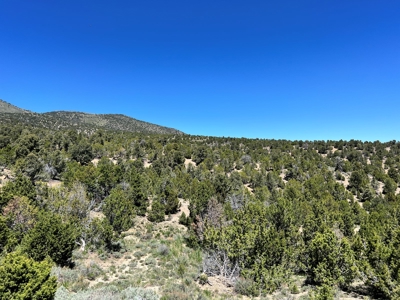 Ely, Nevada Residential Treed Mountain Land For Sale - image 8