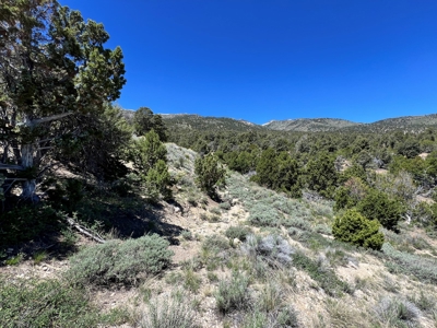 Ely, Nevada Residential Treed Mountain Land For Sale - image 4